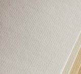 Картон Ingres G 160 70/100 avorio - слонова кост